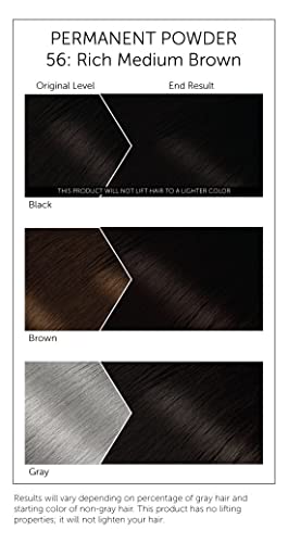 Rich Medium Brown Permanent Hair Color Powder - 6 Pack, Ammonia-Free Water-Activated