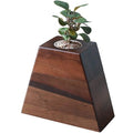 Walnut Urn for Ashes with Removable Planter Lid – Solid Wood Memorial Keepsake