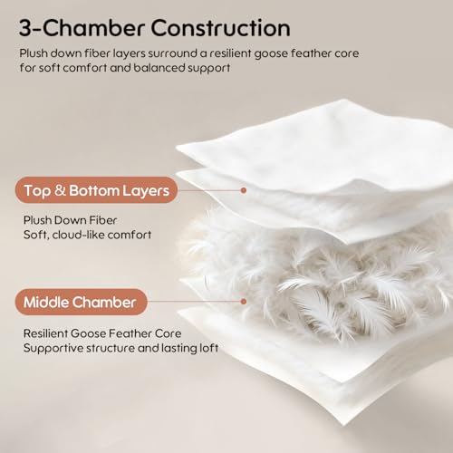 Swandream White King Goose Feather & Down Pillows 2 Pack - Hotel Luxury 3-Chamber Support