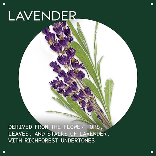 Aveda Lavender Essential Oil + Base – Calming Body & Bath Oil, 1 fl oz