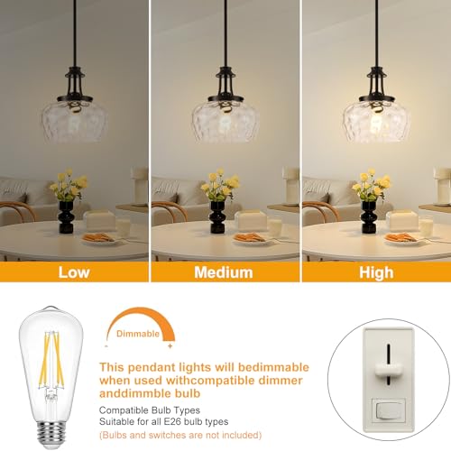 1 Pack Matte Black Pendant Light with 10-Inch Clear Hammered Glass Shade for Kitchen Island & Dining Room - Adjustable Height