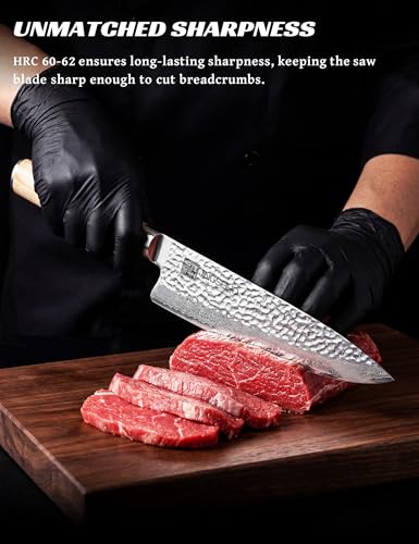 Japanese Chef Knife Set VG-10 Damascus Steel 67-Layers Professional Kitchen Knives
