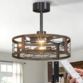 Black Brushed Gold Passky 20-inch Caged Ceiling Fan with Lights and Remote