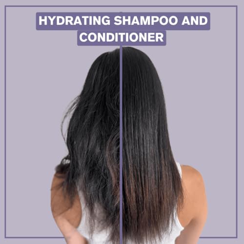 Alcôve Hydrating Sulfate-Free Conditioner with Argan Oil 32oz - Color Safe, Pack of 1
