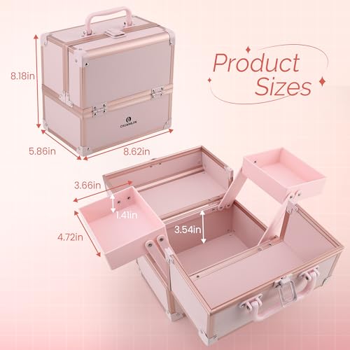 Makeup Train Case 2 Trays Makeup Box Organizer Portable Travel Makeup Case Lockable Makeup Storage Organizer Cosmetic Box for Jewelry Nail Tech Brushes Accessories Tool, Pink