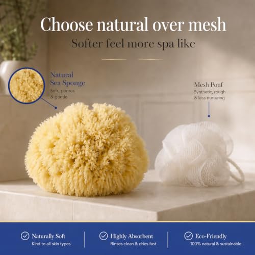 Constantia Beauty Natural Sea Sponges 5pk Gift Set in Box for Bath & Facial Care