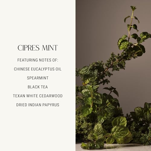 Luxury Scented Candle Cipres Mint 8 oz - Home Fragrance & Decor