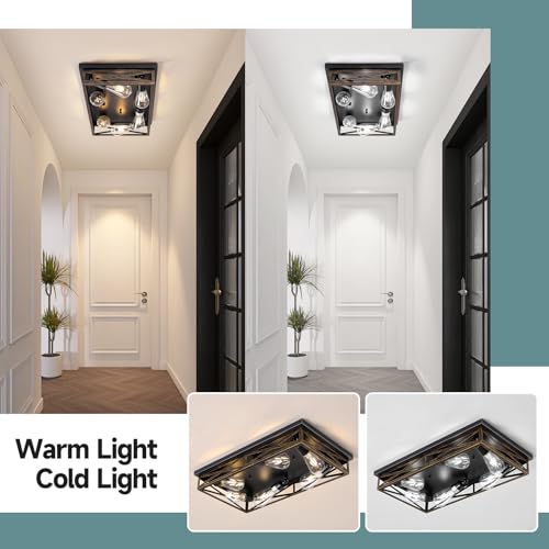 Rustic Black Farmhouse Ceiling Light - 23 Inch 6-Light Metal Cage Fixture, Flush Mount, E26 Base