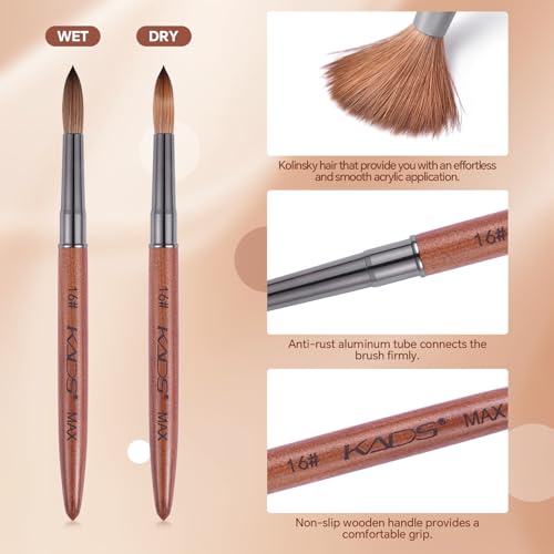 KADS Upgrade Acrylic Nail Brush Pure Kolinsky Hair Acrylic Round Shaped Supermarket Standard (14#+16#)