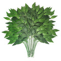 Artificial Italian Ruscus Greenery Stems Bulk 18 Inch - 100pcs for Wedding & Decor