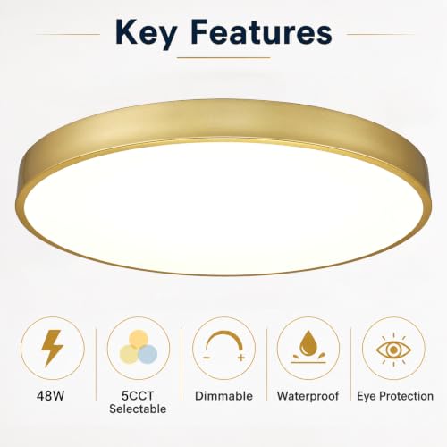Gold 24-Inch LED Flush Mount Ceiling Light 48W Dimmable 5CCT Modern Fixture