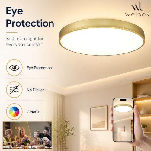 Gold 24-Inch LED Flush Mount Ceiling Light 48W Dimmable 5CCT Modern Fixture