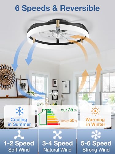 20-Inch Smart Ceiling Fan with Lights, Remote & Alexa Control, Black+Gold, Low Profile Flush Mount