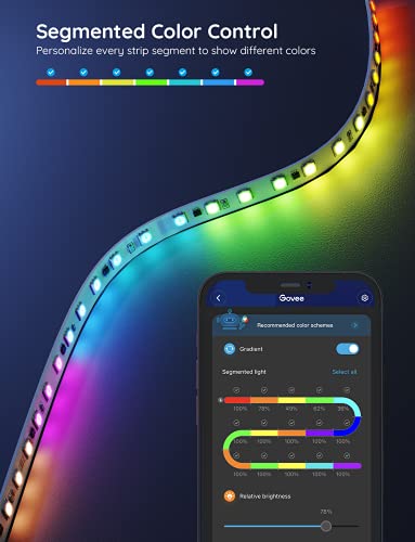 65.6ft RGBIC LED Strip Lights - Smart App Control, Color Segmented, Music Sync