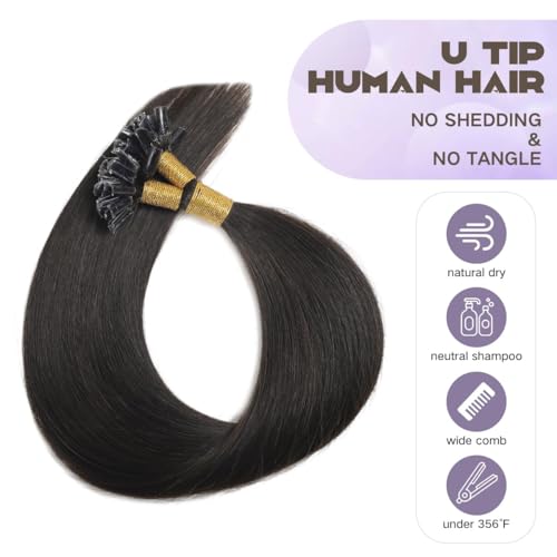 U Tip Hair Extensions Human Hair Black #1B 14 Inch - Natural Black, Keratin Tips