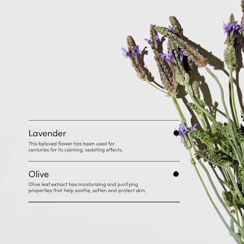 LATHER Lavender & Olive Foaming Body Scrub - Gentle Exfoliating Hydrating 4 Oz Jar - Variation of THIS listing