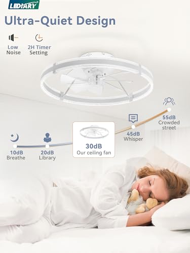 24-Inch White Modern Ceiling Fan with Lights and Remote - Low Profile, Dimmable, Quiet DC Motor, Reversible, Smart App Control