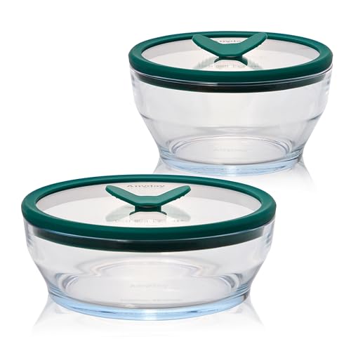Anyday 4-Piece Medium Glass Food Storage Containers with Vented Lids - Clear Kale