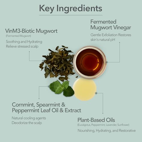Scalp Cooling Shampoo with Fermented Mugwort & Menthol for Refreshing Hair Care