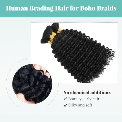 Benafee 28 Inch Water Wave Human Braiding Hair for Crochet & Boho Braids - No Weft, 100G, Natural Color
