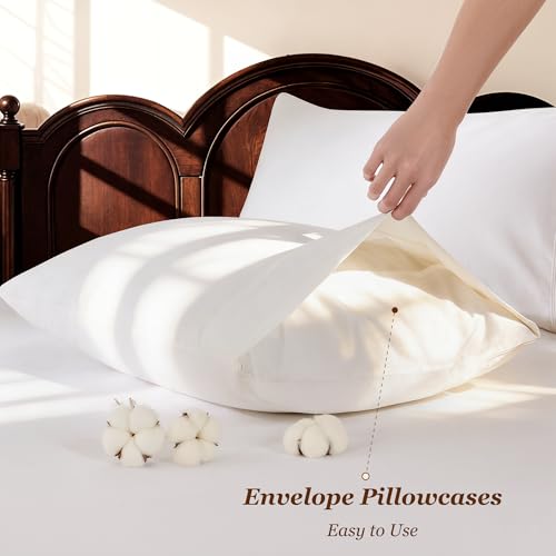 LBRO2M Queen Size Egyptian Cotton Bed Sheet Set 1000 TC Deep Pocket 16 inch