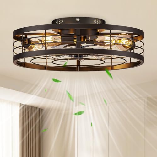 Black 19.7 Inch Caged Ceiling Fan with Light Remote Control Farmhouse Style