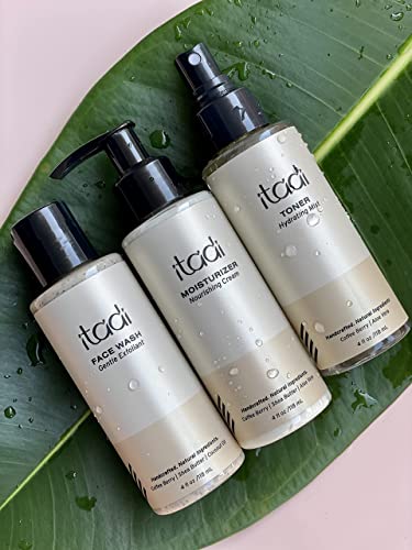 Organic Daily Face Exfoliator Wash with Coffee Berry & Shea Butter - 4oz