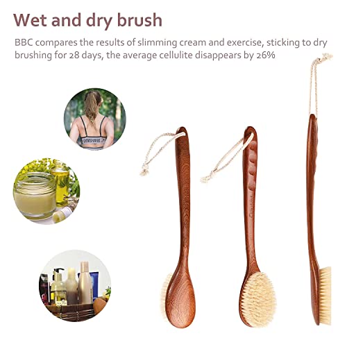 Dry Body Brush with Long Wooden Handle for Exfoliation & Back Scrubbing - Natural Boar Bristles
