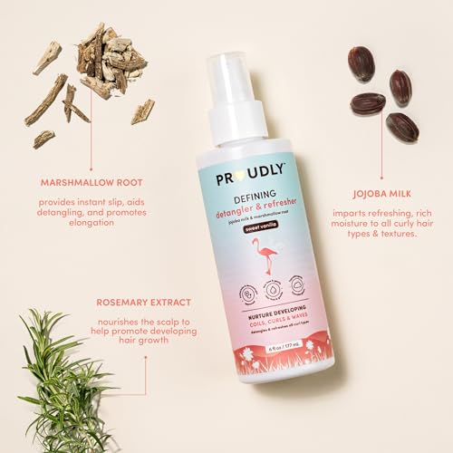 PROUDLY Baby Detangling Spray 2-Pack - Defines Coils & Curls, 6oz each