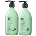 Tea Tree Mint Clarifying Shampoo & Conditioner Set - 16.8 Fl Oz Pack of 2