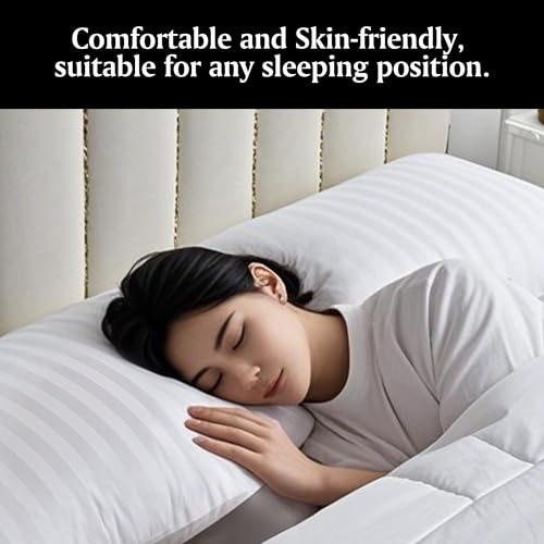 Beautyrest Queen Feather & Down Pillow Set - 2 Pack, Hypoallergenic, Cotton Cover