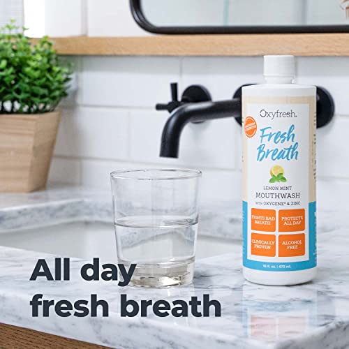 Oxyfresh Lemon Mint Mouthwash 16 Fl Oz Pack of 2 – Bad Breath & Plaque Control, Alcohol & Fluoride Free