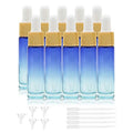 Kesell 10 Pack 10ml Small Glass Dropper Bottle Blue Gradient Color Glass Bottles with Eye Dropper for Travel Mini Sample Containers with 5 Funnels and 5 Plastic Droppers for Essential Oils,Perfume
