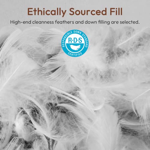 AIKOFUL Queen Size Goose Feather & Down Pillow Set of 2 - Hotel Quality, Ethically Sourced