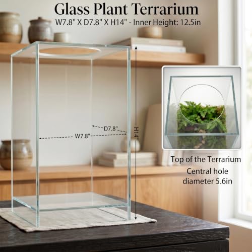 Desktop Glass Plant Terrarium with Adjustable Grow Light for Succulents & Moss