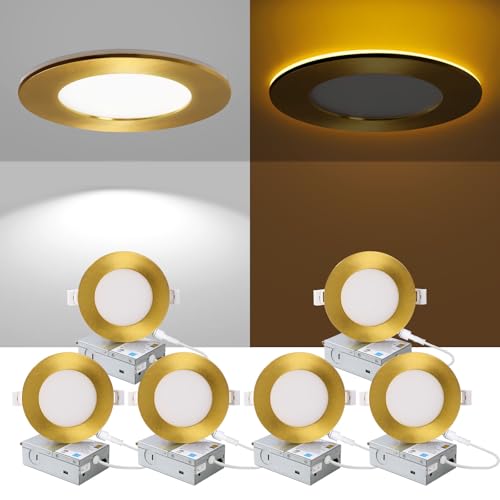ZYC 4 Inch LED Recessed Downlights 6 Pack, Dimmable Ultra-Thin Ceiling Lights with Night Light, 2700K-6000K, 800LM, Gold
