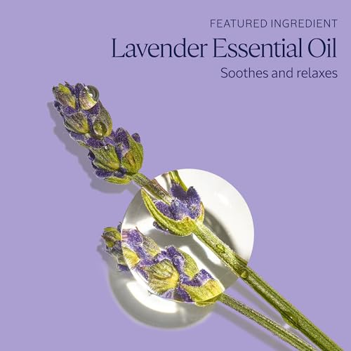 L'Occitane Lavender Bubble Bath Refill, Relaxing Foam & Essential Oil, 16.9 fl oz