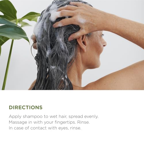Lazartigue Color Protect Shampoo for Color-Treated Hair - Gentle & Nourishing - Variation: Shampoo