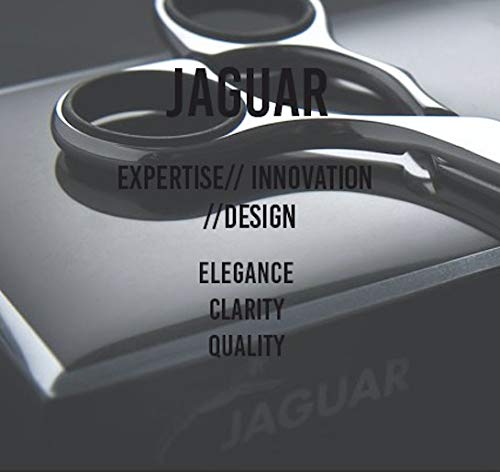Professional Straight Edge Razor for Men, Foldable Barber Razor with Replaceable Blade – Made in Germany