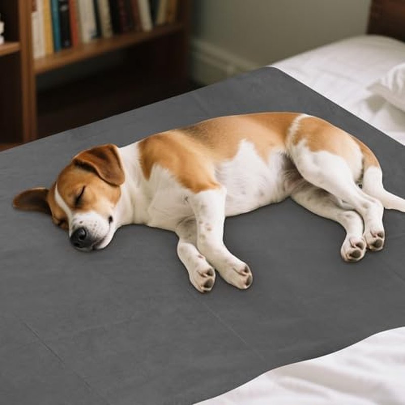 100 Pcs Disposable Massage Table Sheets 31" x 71" Non-Woven Fabric Bed Sheets Cover for Spa, Massage, Beauty Salon, Tattoos, Hotels (Black)