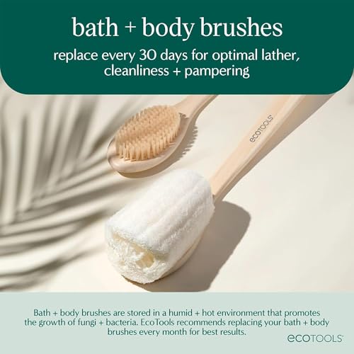 EcoTools Dry Body Brush 4-Pack ? Exfoliating Body Scrubber for Dead Skin Removal, Cellulite Massage, Circulation