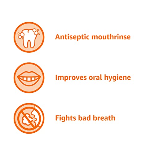 Antiseptic Mouthwash 50.7 oz Pack of 4 - Original Flavor Fights Gingivitis