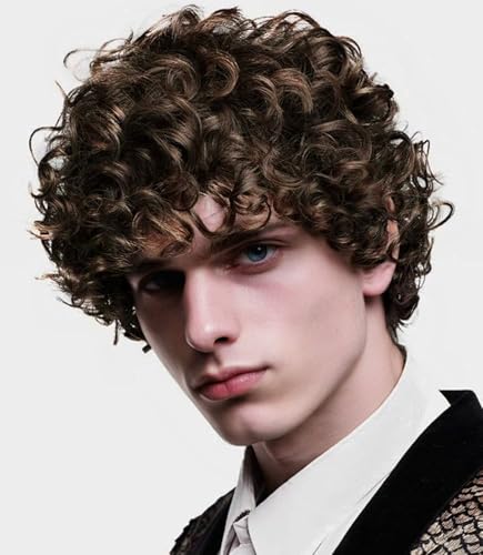 Dark Brown Curly Afro Wig Short Fluffy Men’s Cosplay Wigs - Brown Mixed Blonde Variation