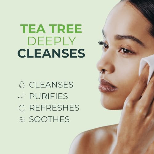 Tea Tree Eyelid Gel Cleanser 3 Pack - Gentle Daily Plant-Based Eyelash & Eyelid Care
