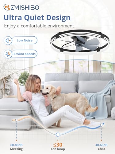 ZMISHIBO 24-Inch Black Low Profile Ceiling Fan with Lights & Remote