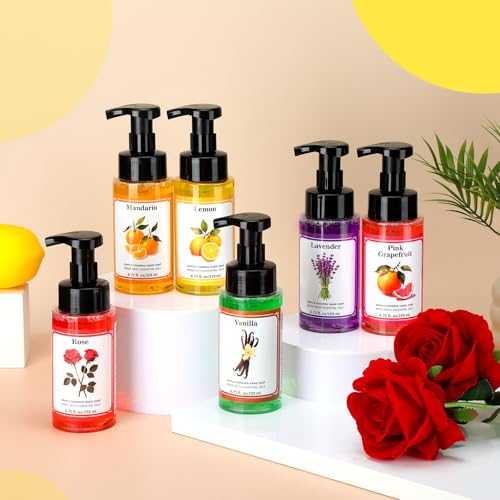 6 Pack Foaming Hand Soap with Pump - Fresh Scent, 8.75 Fl Oz Each - Holiday Set
