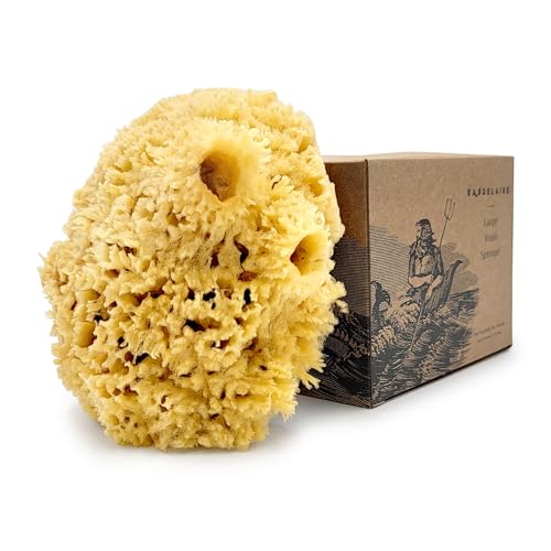 Sea Wool Sponge 5.5 Inch Natural Sea Sponge for Bathing & Exfoliation - Durable & Eco-Friendly Loofah