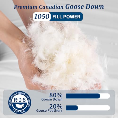 AiAngu Canadian Luxury Goose Down Pillow King Size 1050 Fill Power White