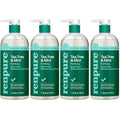 RENPURE Tea Tree & Mint Body Wash - Cleanses, Invigorates & Refreshes Skin Without Over-Drying - For All Skin Types - Tea Tree Leaf Oil, Spearmint Leaf Oil - 24 Fl Oz each,2 Count (Pack of 2)
