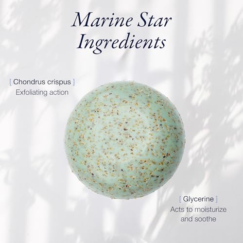 Seaweed Exfoliating Soap Bar 150g - Gentle Marine Cleansing for All Skin Types